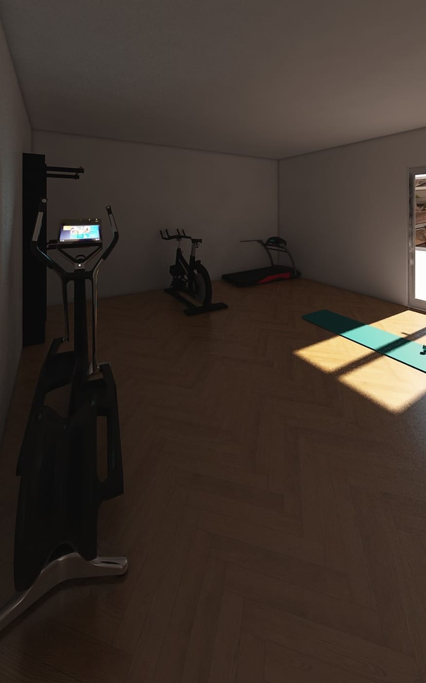 Mid-century gym