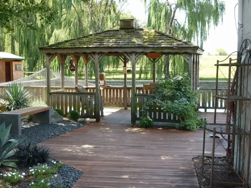 AI-generated image: Backyard / Garden, redesigned